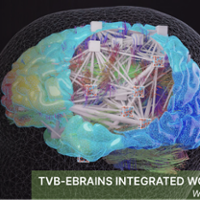 TVB-EBRAINS Workshop #9 Banner