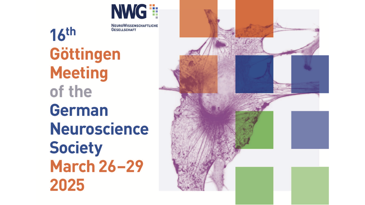 German Neuroscience Society 2025 - Göttingen Meeting