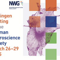 German Neuroscience Society 2025 - Göttingen Meeting